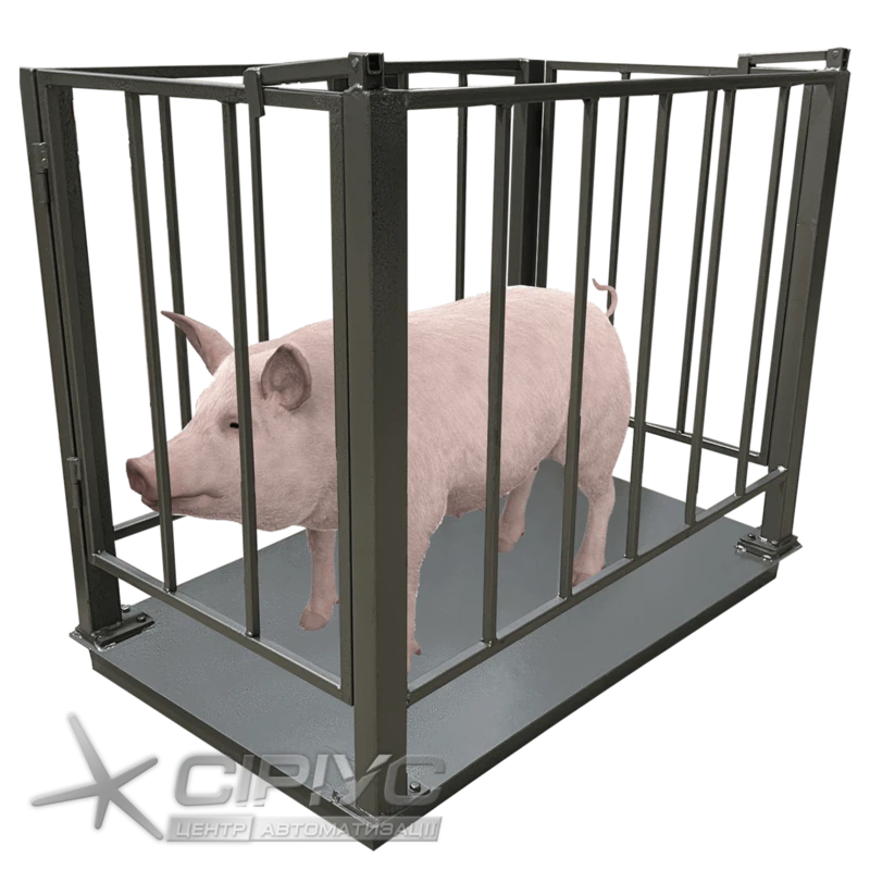 Dneproves VPD-SK-750x1200 Schweinewaage
