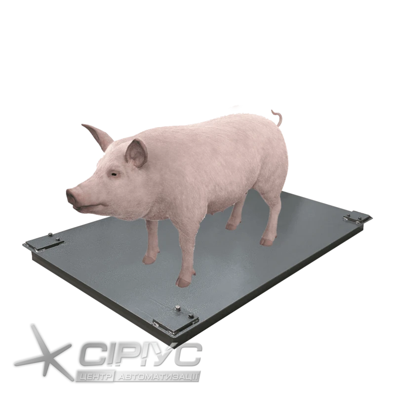 Dneproves VPD-750x1200-SK Schweinewaage ohne Gitter